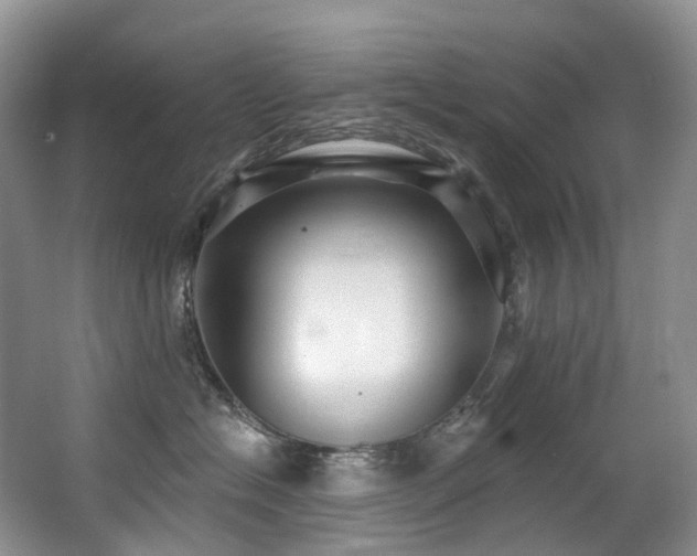 X0000063510574200601201442