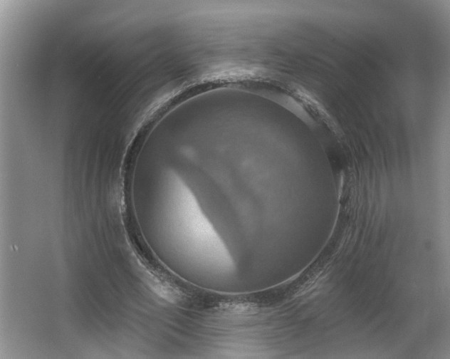 X0000063510582200601201441