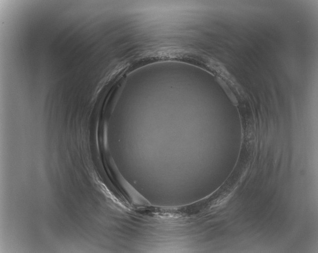 X0000063510585200601201441