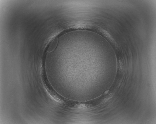 X0000063510588200601201441