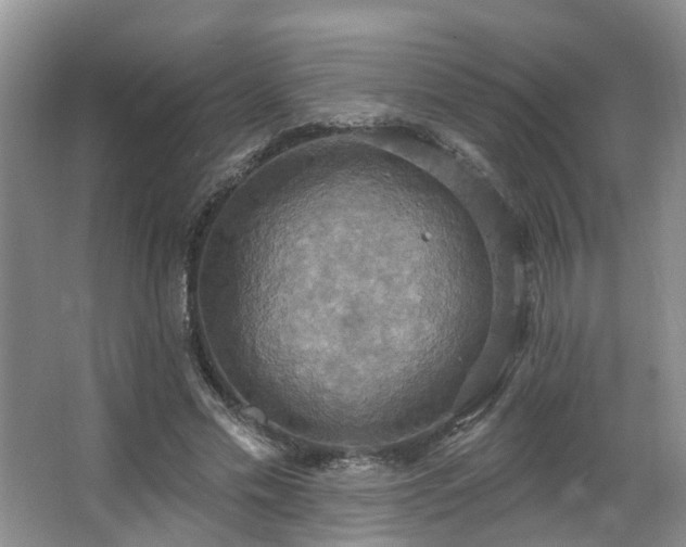 X0000063510589200601201441