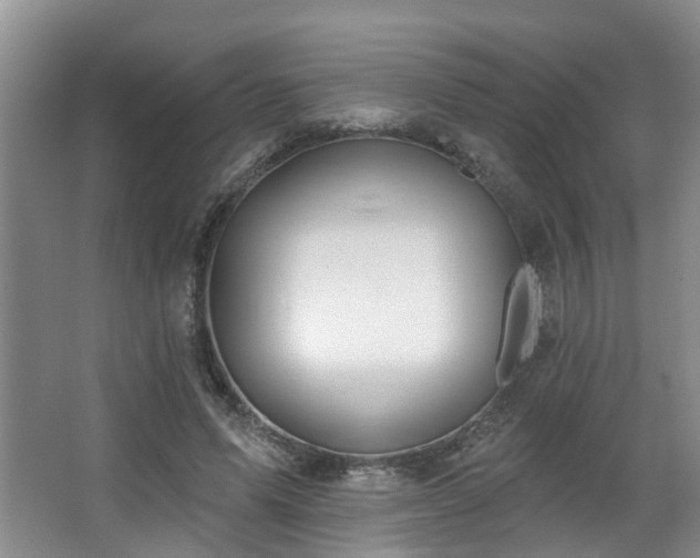 X0000063510591200601201441