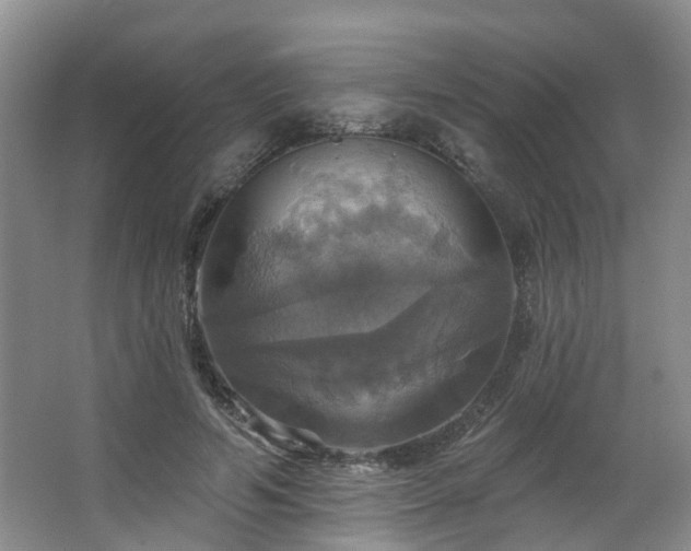 X0000063510594200601201441