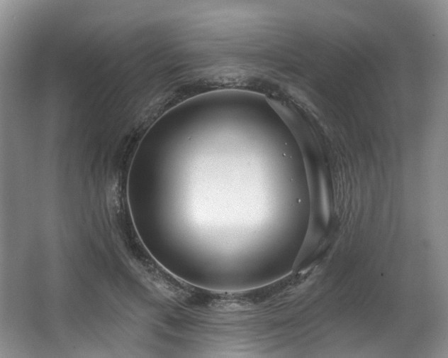 X0000063510597200601201441