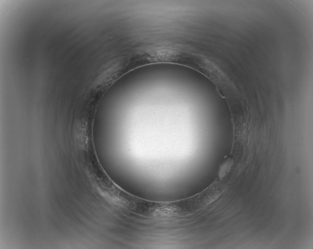 X0000063510599200601201441