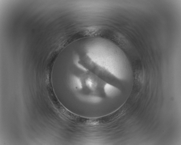 X0000063510602200601201441