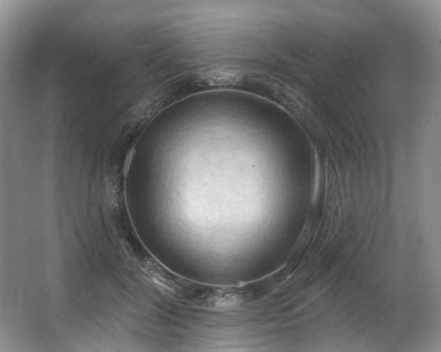 X0000063510604200601201441