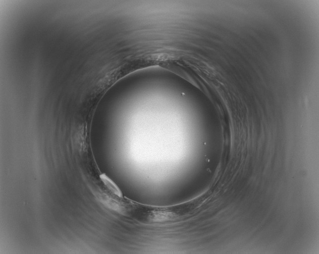 X0000063510605200601201441
