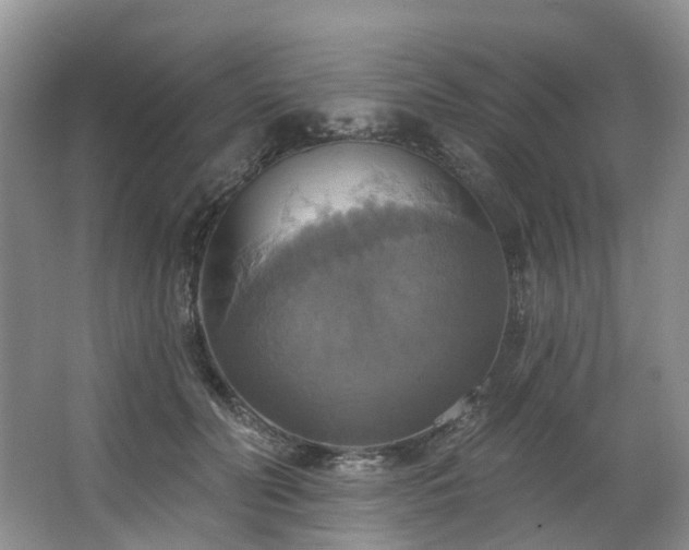 X0000063510606200601201441
