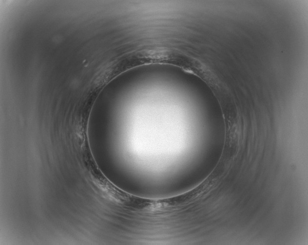 X0000063510609200601201441