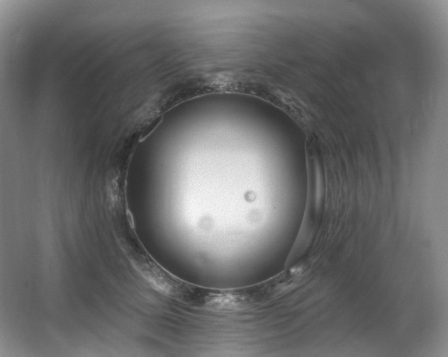 X0000063510611200601201440