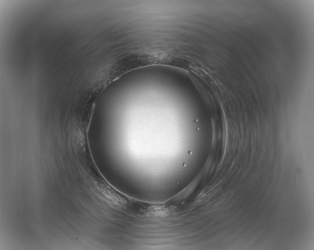 X0000063510613200601201440
