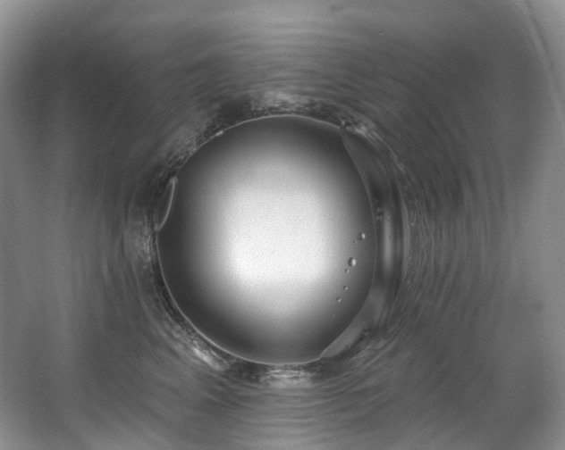 X0000063510617200601201440