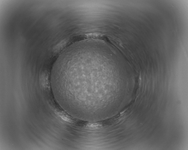 X0000063510619200601201440