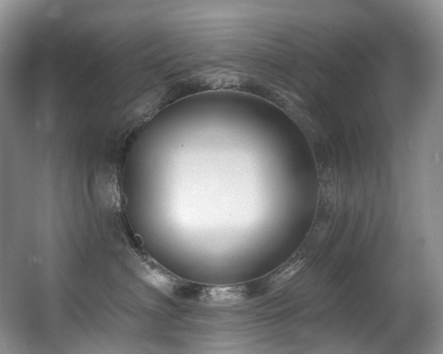 X0000063510622200601201440