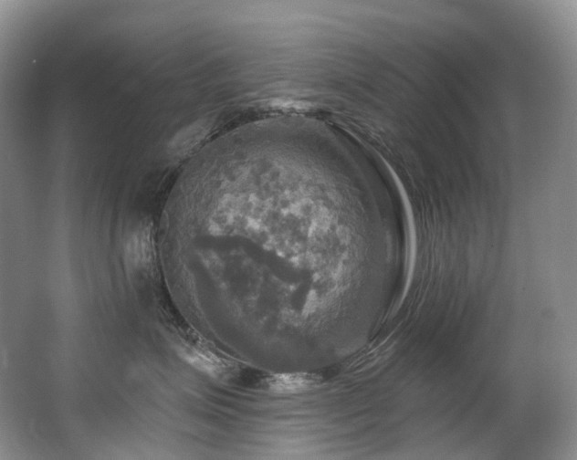 X0000063510623200601201440