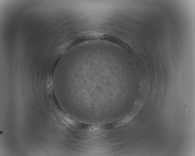 X0000063510624200601201440