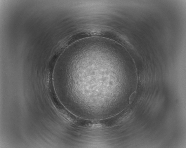 X0000063510645200601201440