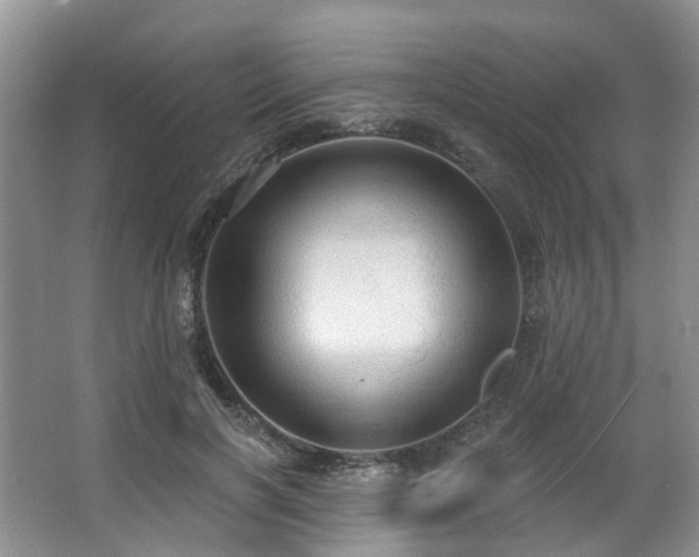 X0000063510646200601201440