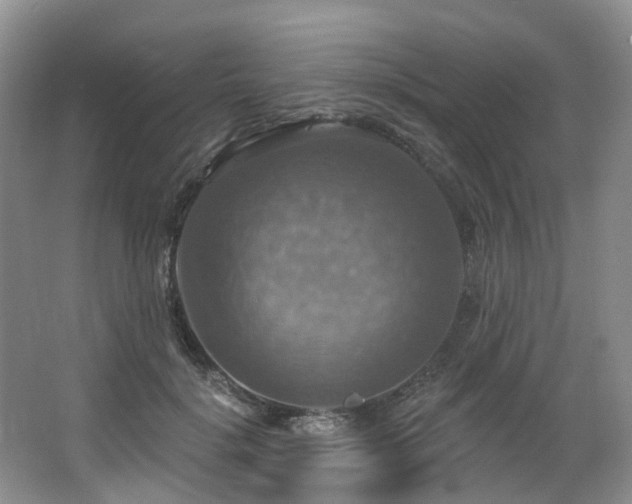 X0000063510652200601201440