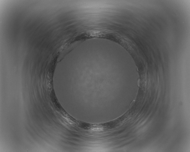 X0000063510653200601201440