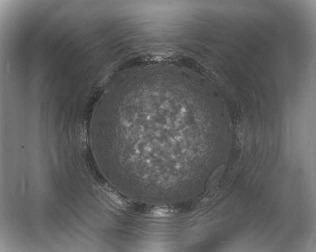 X0000063510657200601201440
