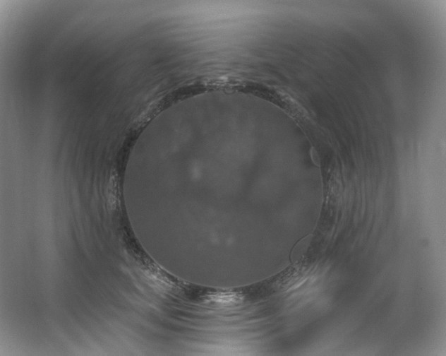 X0000063510659200601201440