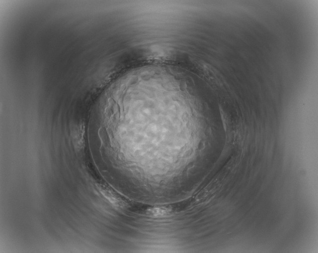 X0000063510660200601201440