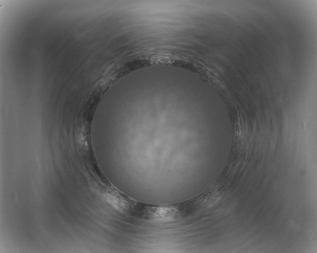 X0000063510663200601201440
