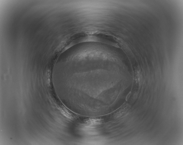 X0000063510664200601201440