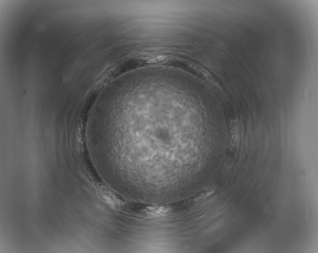 X0000063510667200601201440