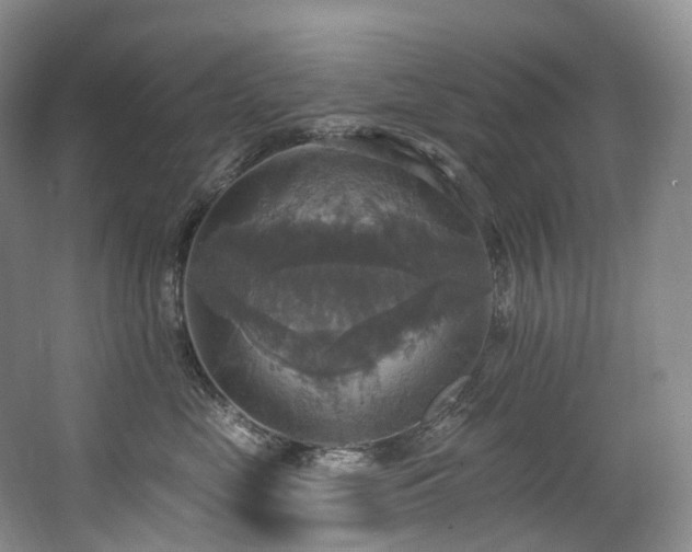 X0000063510669200601201440