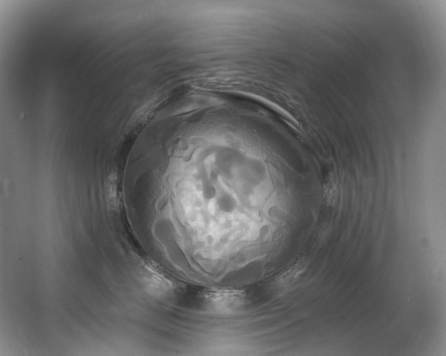 X0000063510670200601201440