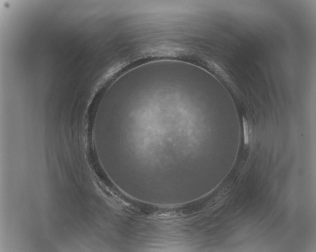 X0000063510675200601201439
