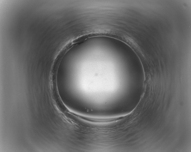 X0000063510676200601201439
