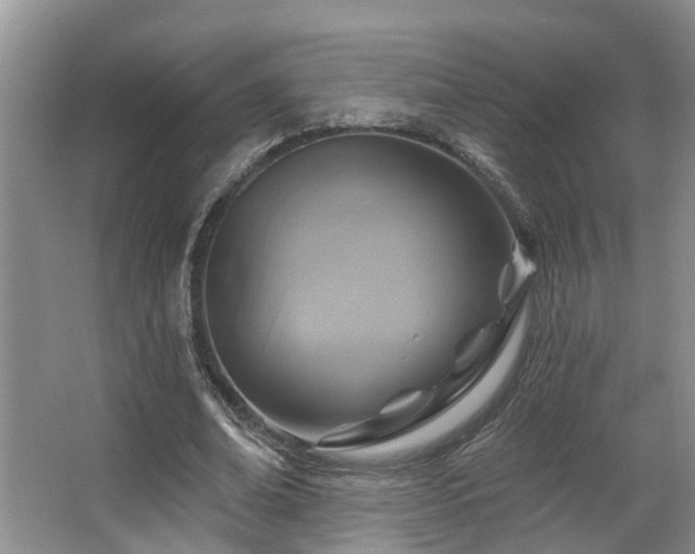 X0000063510678200601201439