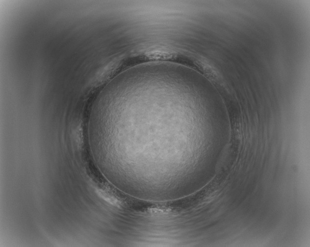 X0000063510690200601201439