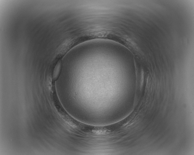 X0000063510693200601201439