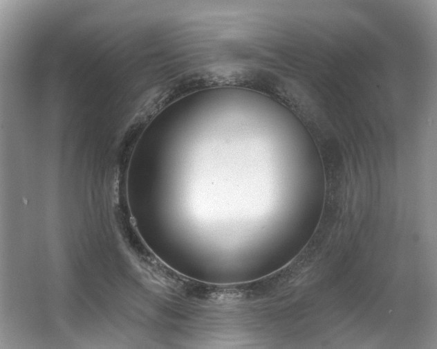 X0000063510694200601201439