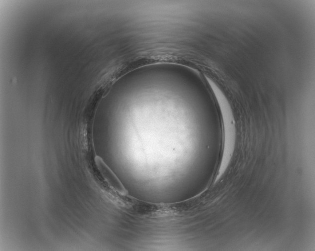 X0000063510696200601201439