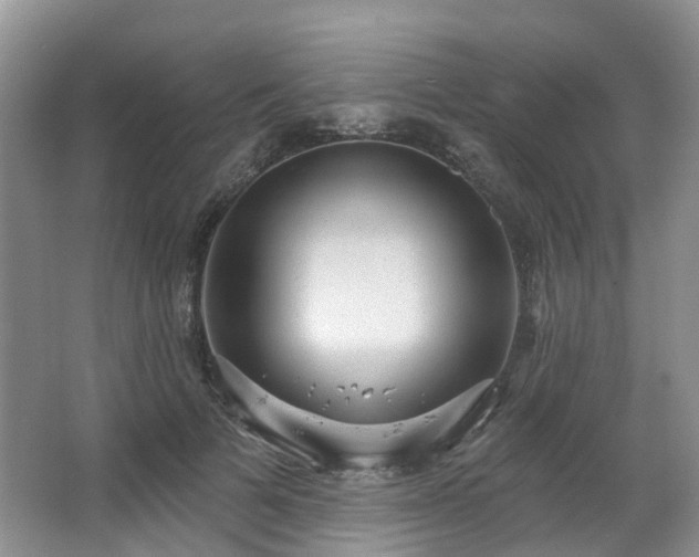 X0000063510697200601201439