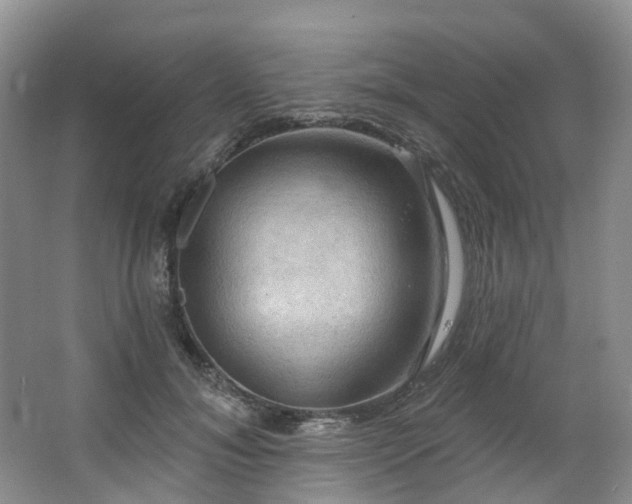 X0000063510700200601201439