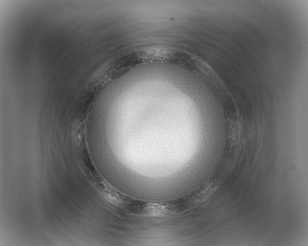 X0000063510701200601201439