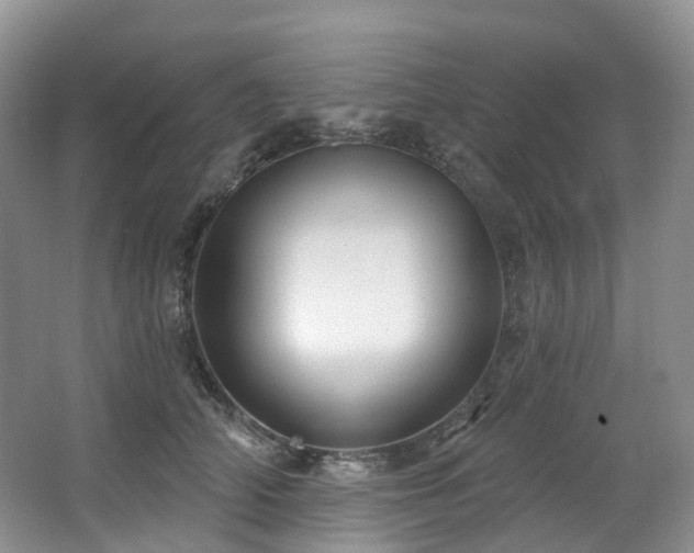 X0000063510706200601201439
