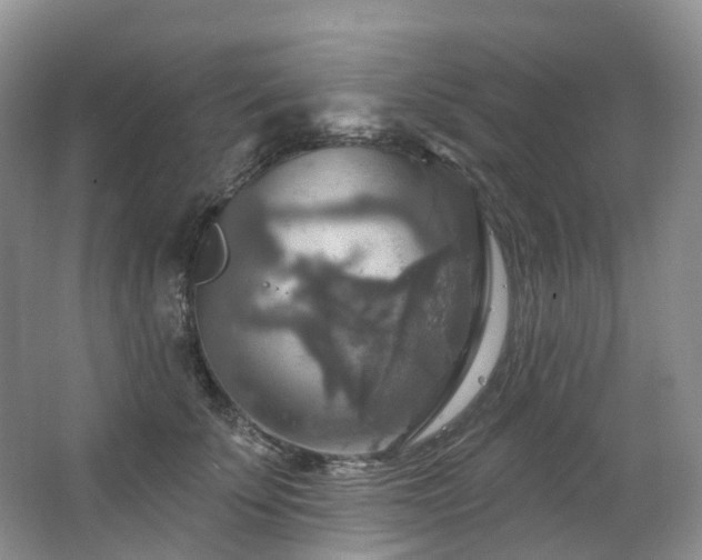 X0000063510707200601201439