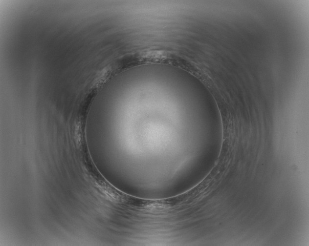 X0000063510708200601201439