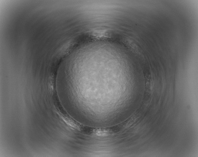 X0000063510710200601201439