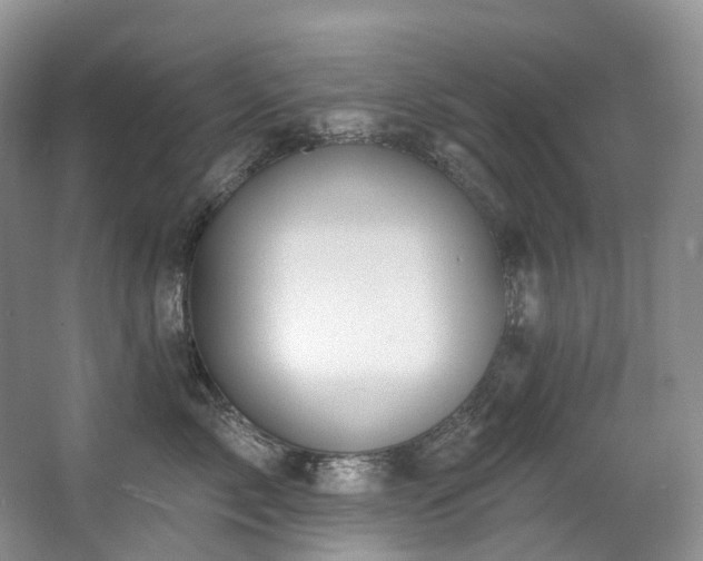 X0000063510717200601201439