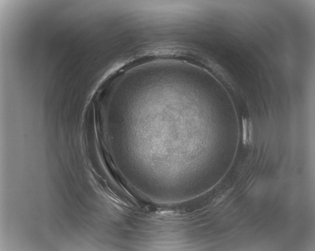 X0000063510723200601201438