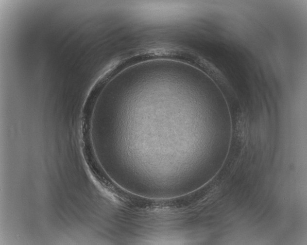 X0000063510730200601201438